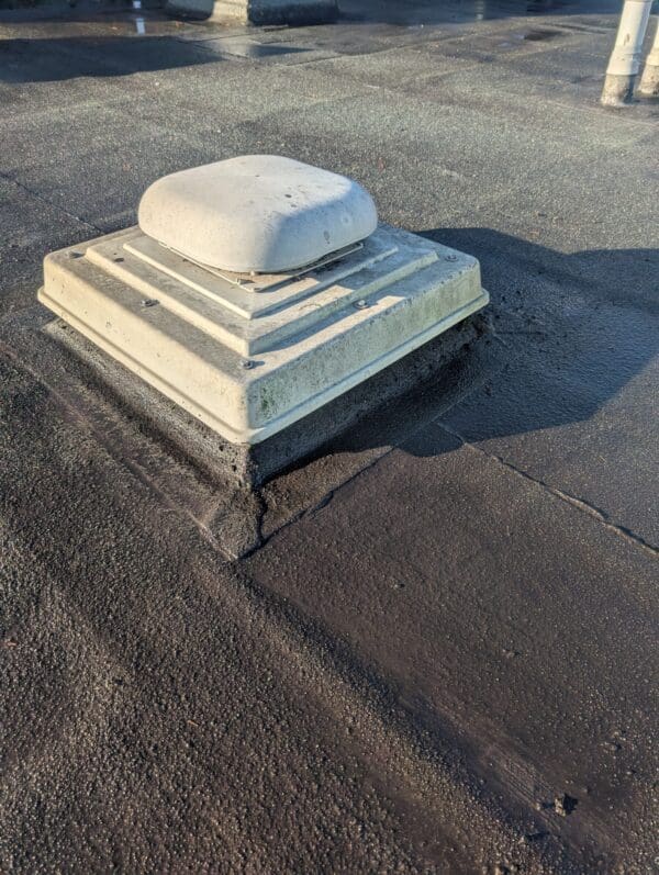Exterior Cleaning Results