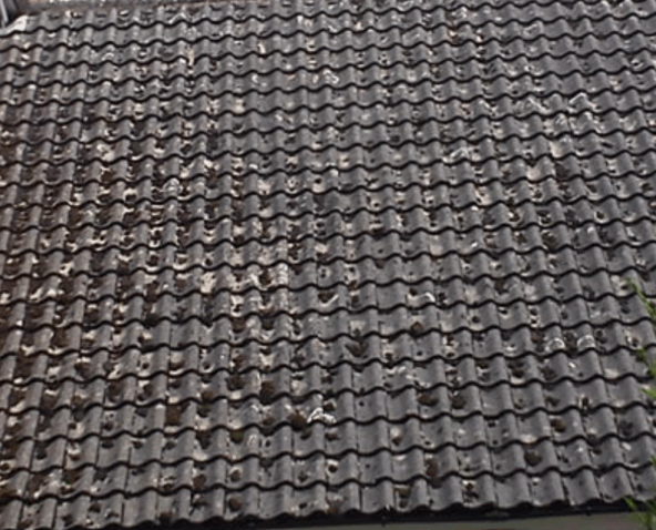 Removing moss on roof tile