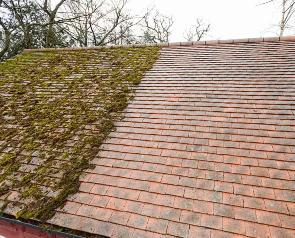 Roof Moss Removal Leicestershire and Warwickshire